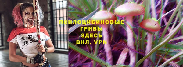 тгк Алзамай