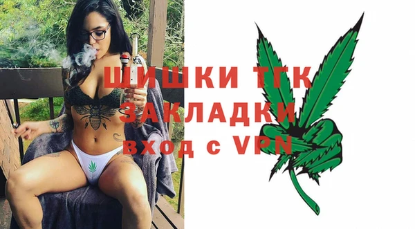 тгк Алзамай