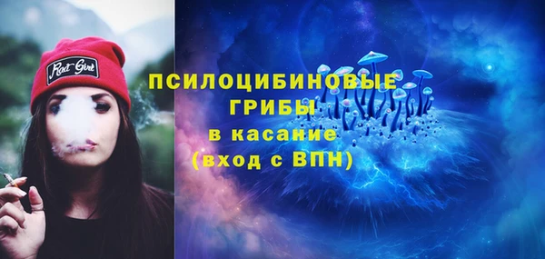 тгк Алексеевка