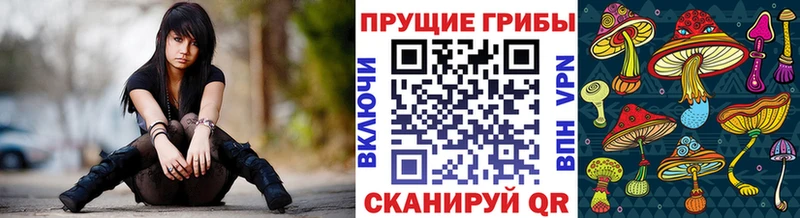 Купить где  Серов  Галлюциногенные грибы Cubensis 